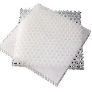 PP Honeycomb Core Panel Sheet (3)
